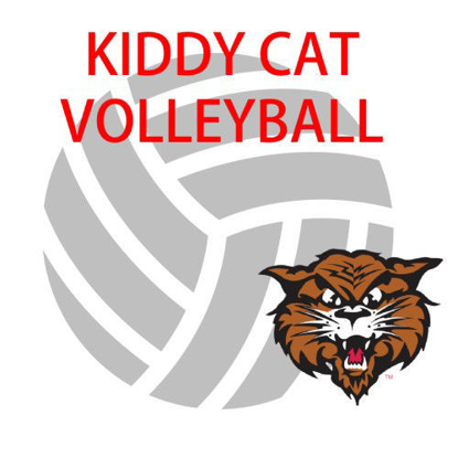 Picture of Kitty 'Cat Volleyball