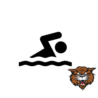 Picture of Swim Techniques (Level 6+)