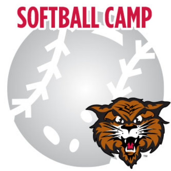 Picture of Softball All Skills Camp - March 15, 2026 